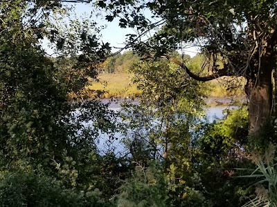 Isaacs Branch Greenway Path