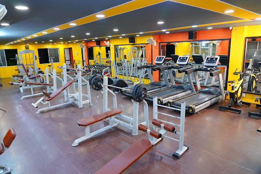 The Absolute Fitness 1