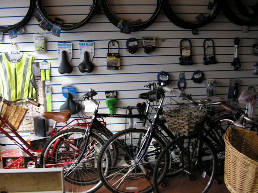 Direct Cycles - Visual