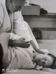 Photo n°8 de Hervé ligot shiatsu à Sonchamp (Coach de vie)