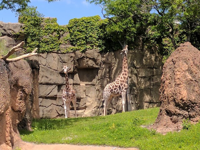 Lincoln Park Zoo