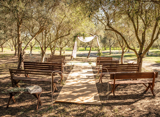The Olive Estate - Thumbnail