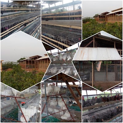 Photos of Afri Hotel