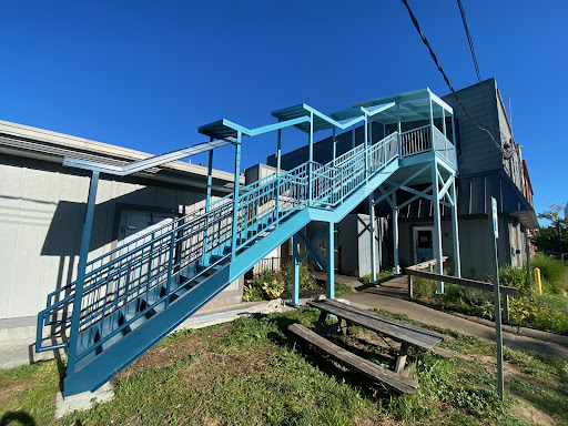 Werner Design Painting