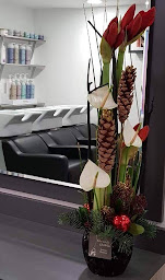 Photo n°7 de Tendances Coiffure à Pau (Salon de coiffure)