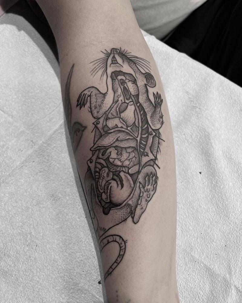 Wolf and Shadow Tattoo Collective