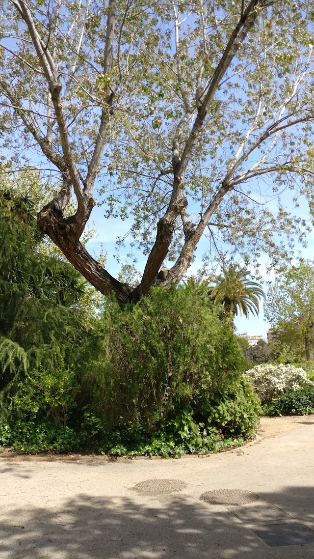 Parc de Les Aigües