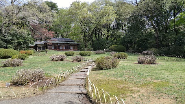 Yoyogi Park