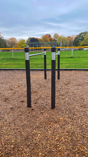 Calisthenics Park Dorval/Morris Logo