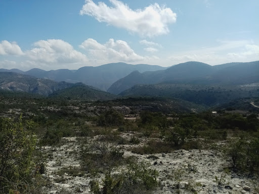 La Gruperrona - Thumbnail