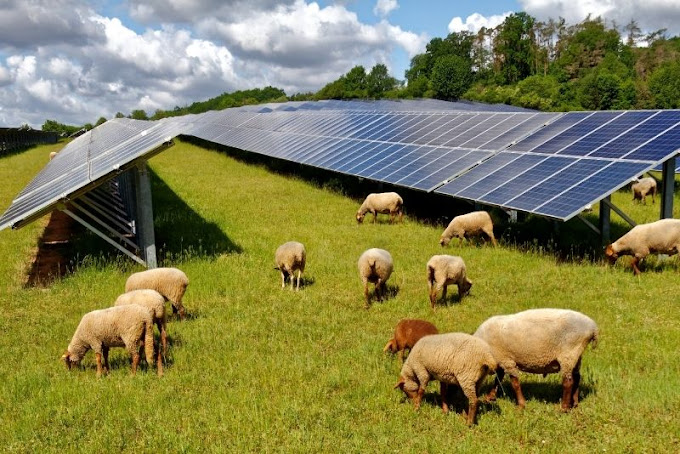 Canberra Solar Power 