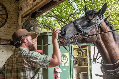 Photos of Classic Carriage Works, LLC