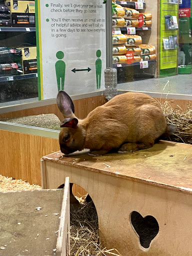 Pets at Home Drumchapel - Thumbnail
