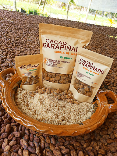 Productores y Transformadores de Cacao Zoque - Thumbnail