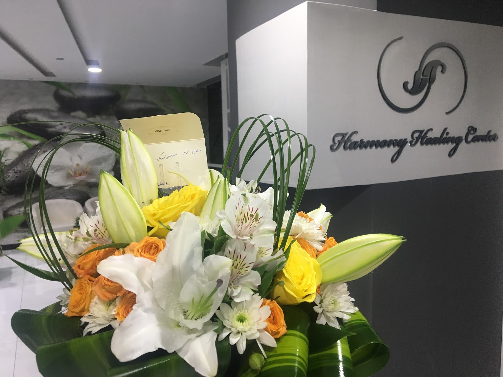 Body Mind You Holistic Wellness [BMY] - صورة 4