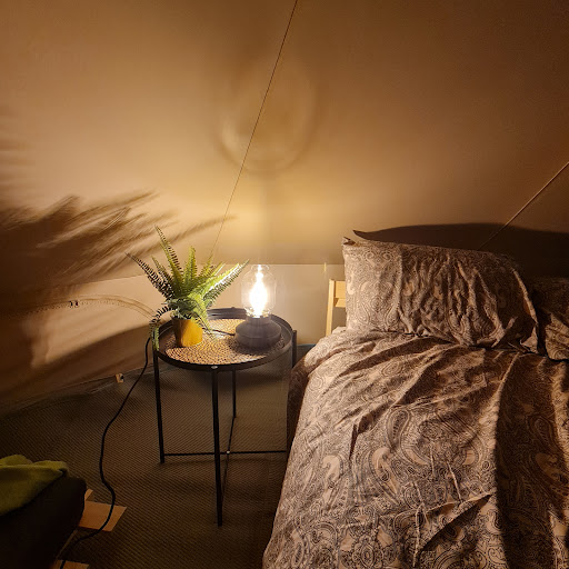 New House Caravan Park - Thumbnail