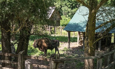 zoo