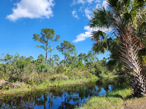 Buck Lake Conservation Area Gallery - United States