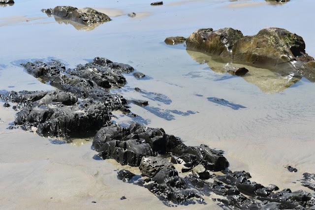 Dana Point Headlands Conservation Area