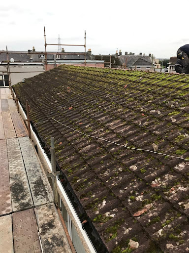 Thistle Roofing - Thumbnail