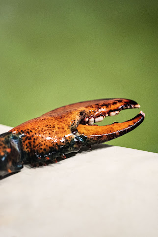 Rootsch Restaurant & Bar by null