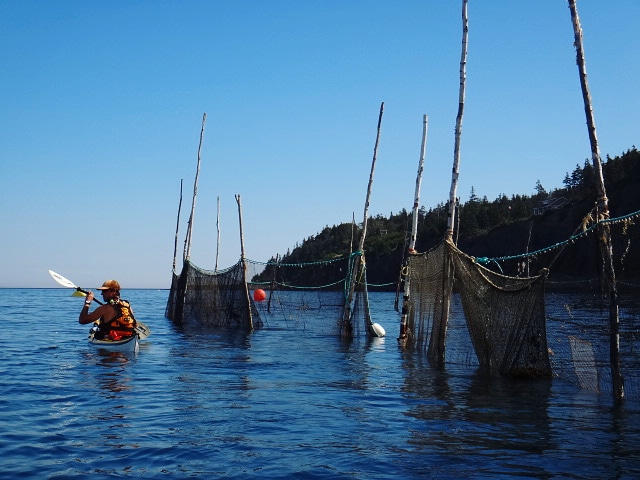 BAY OF FUNDY ADVENTURES by null
