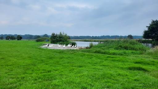 Mini camping de Kemminckhorst - Thumbnail