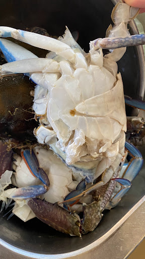 Pennant Hills Seafood - Thumbnail