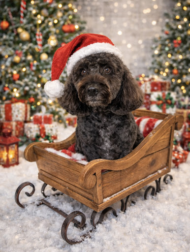 Frankie & Friends Boutique Spa