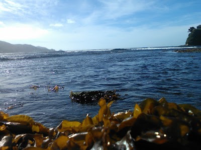 Photos of Playa Chica, Niebla