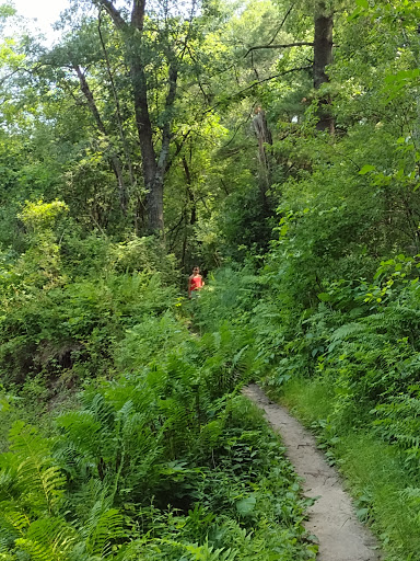 Otter Creek Hiking Area