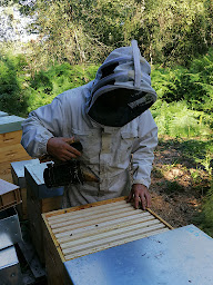 Photo n°2 de Julien SABY à Chaspuzac (Miellerie)