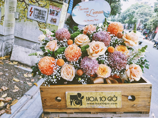 HOA10GIỜ