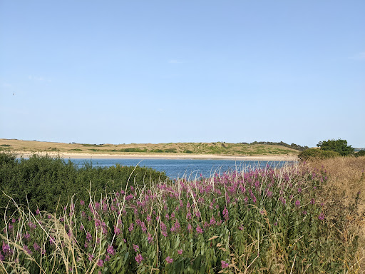 Lower Beach - Visual