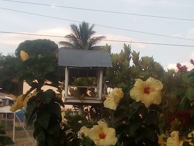 Photos of Ventanilla La Iguana