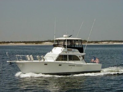 American Marine & Boat Sales