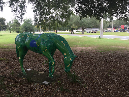 Ocala Golf Club - Thumbnail