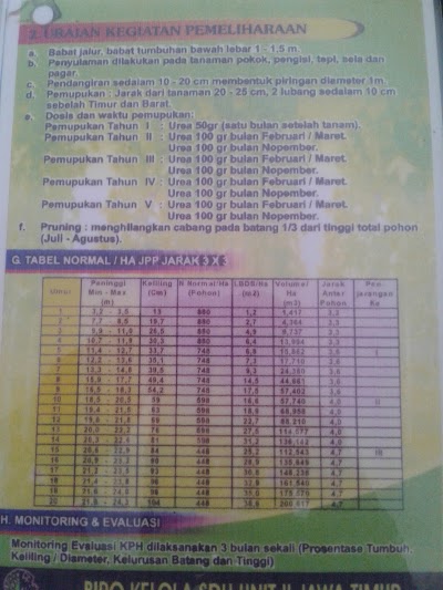Photos of Perum Perhutani KPH Padangan