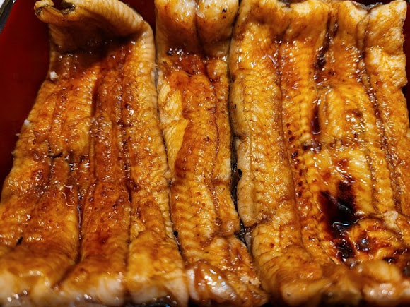 銀座 四代目 高橋屋 鰻魚料理