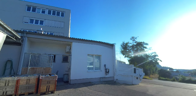 Walkeweg 71, 4052 Basel