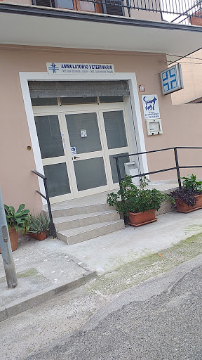 NUOVA SEDE Ambulatorio Veterinario Dott. RINALDI GIOVANNINO - Thumbnail