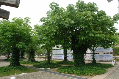 Photos of Gyeongnam National University Of Science And Technology
