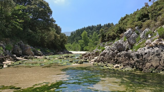 Playa de Guadamia