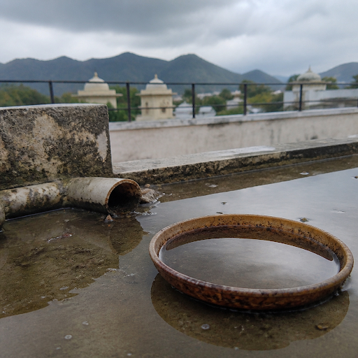 Udaipur’s changing weather plays a big role in how fast mosquitoes, cockroaches, termites and oth… post image