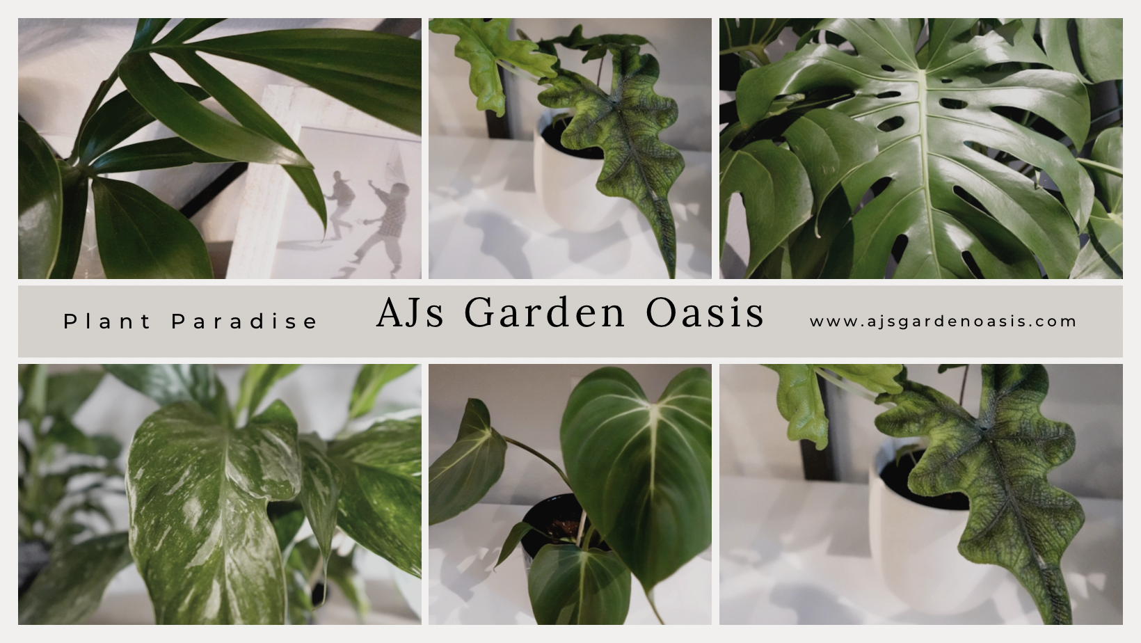 AJs Garden Oasis, LLC