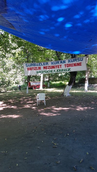 Gürbüzler kur