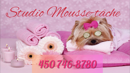 studio mousse-tache - Visual