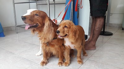 Photos of Pet Veiw Vet Clinic