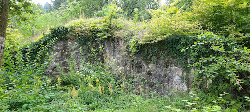 Burgruine Neuenstein Gallery - Germany