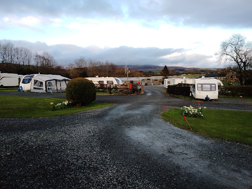 New House Caravan Park - Thumbnail